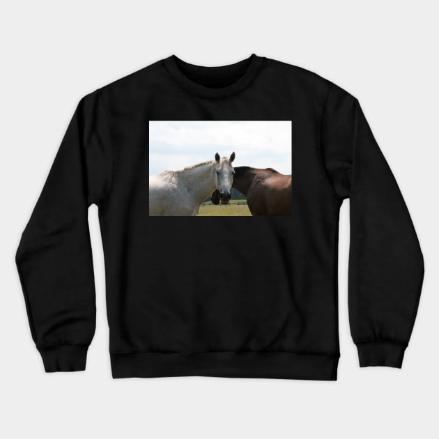 Horses Nuzzling Crewneck Sweatshirt by PurpleKittyCat